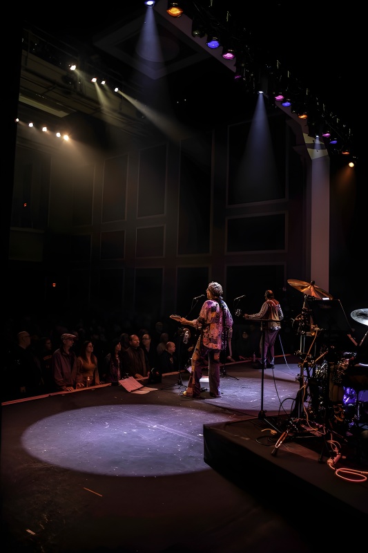 The British Invasion Years — band from behind audience view